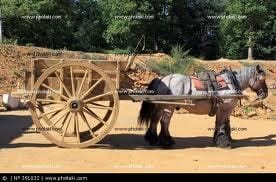  Учителя в России превращают в ломовую лошадь